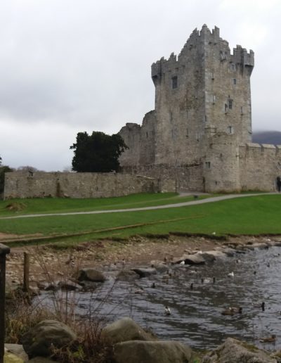 Alhomecare - Praca dla opiekunek w Irlandii