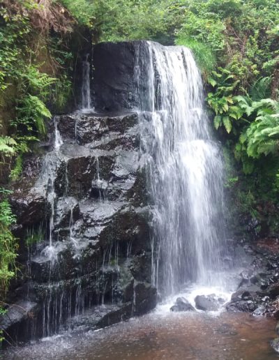 Alhomecare - Praca dla opiekunek w Irlandii