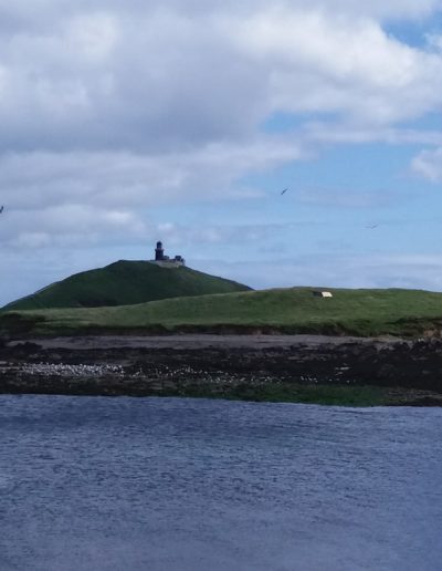 Alhomecare - Praca dla opiekunek w Irlandii