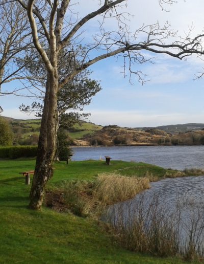 Alhomecare - Praca dla opiekunek w Irlandii