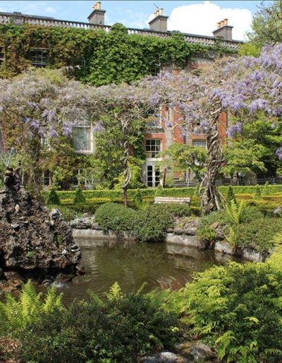 Alhomecare - Praca dla opiekunek w Irlandii