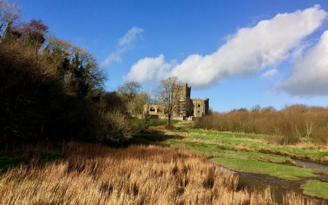 Gdzie w Irlandii warto pracować jako opiekunka? 5 atrakcyjnych miejsc poza dublinem