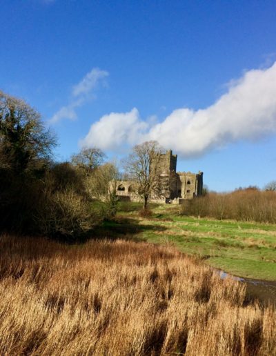 Alhomecare - Praca dla opiekunek w Irlandii